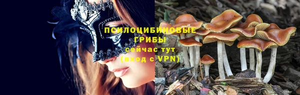 скорость mdpv Богданович