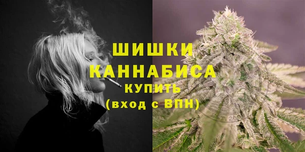 дурь Богородицк