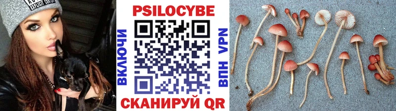 где можно купить   Дальнереченск  Галлюциногенные грибы Cubensis 
